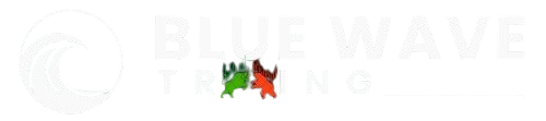Blue Wave Trading – Brokerage